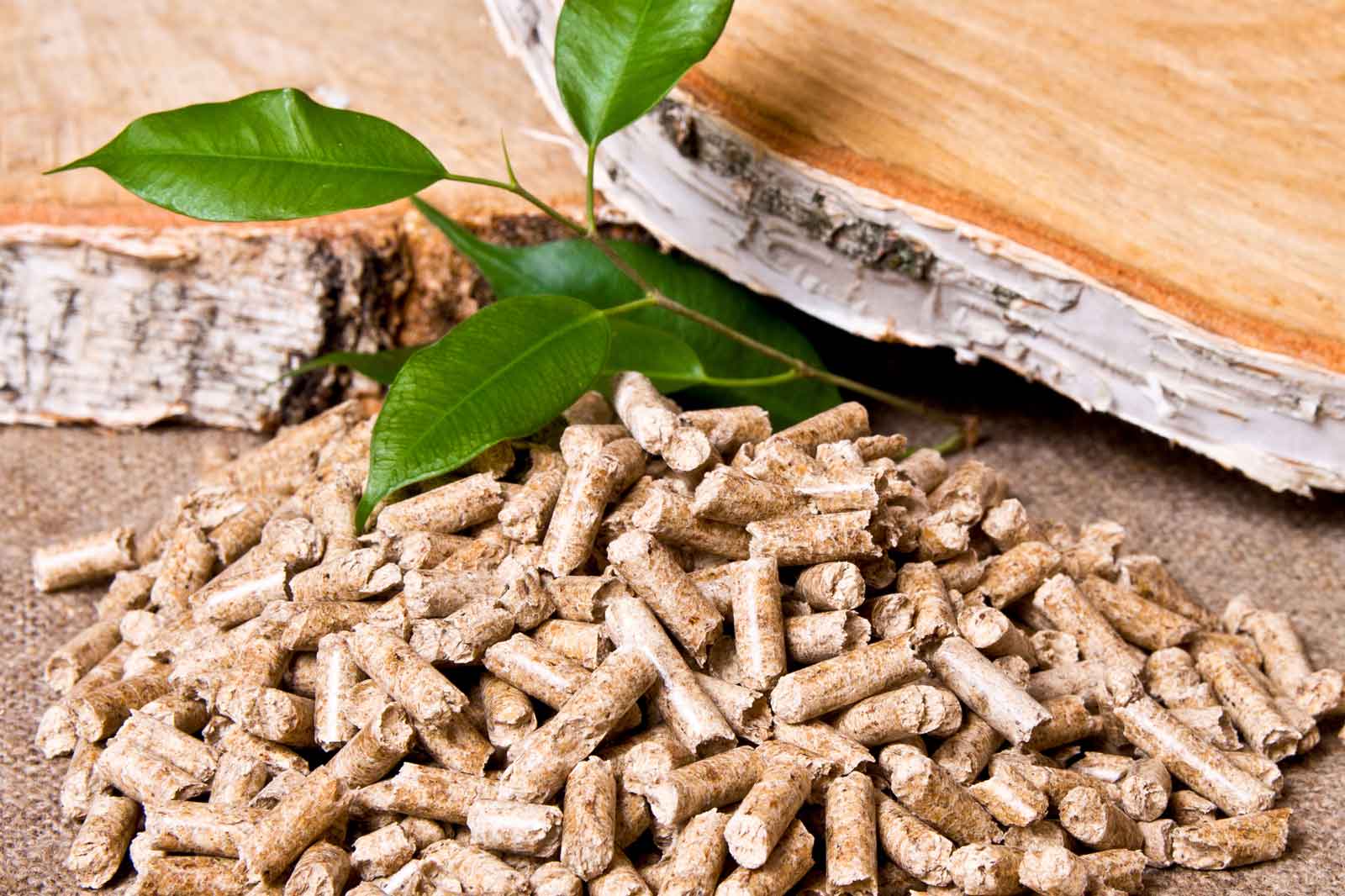 Wooden pellets | RWE in the UK & Ireland